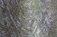 Charing Heath fibreglass roof work